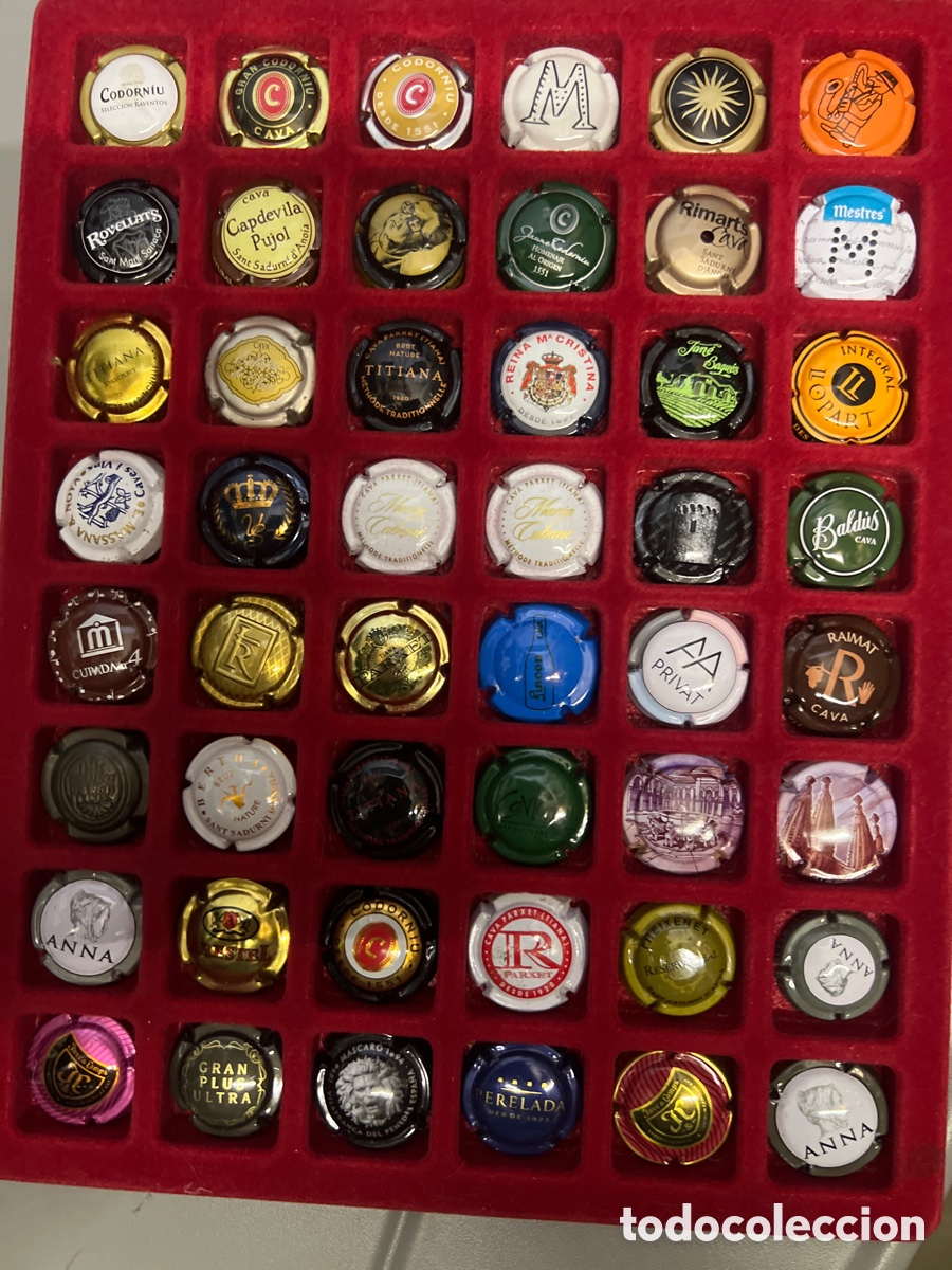 Coleccionismo de cava: T4/X2A. 48 PLACAS DE CAVA - Foto 1