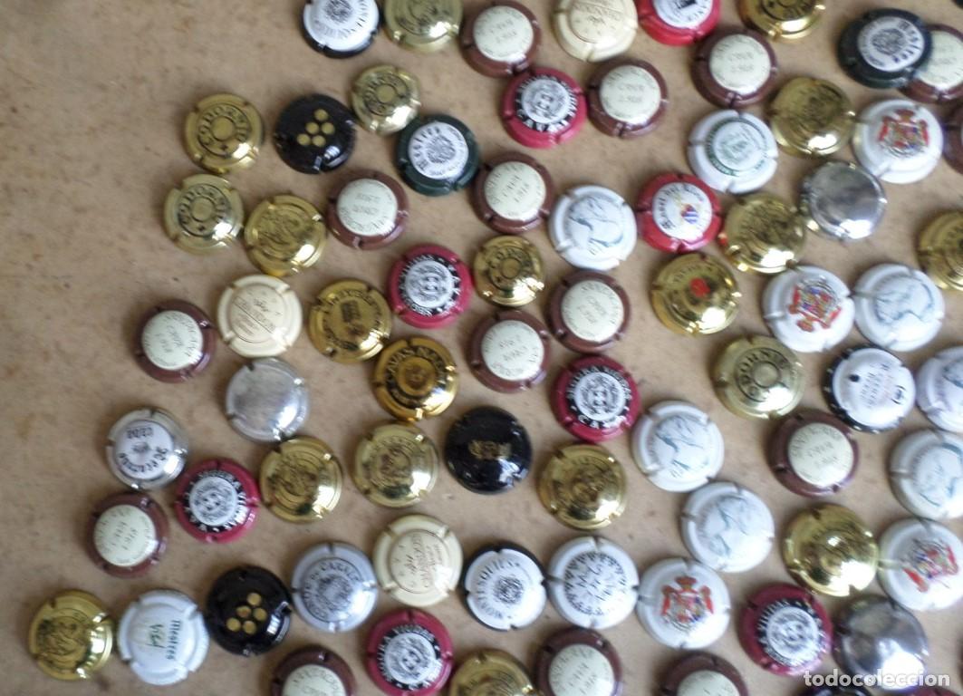 Coleccionismo de cava: +/- 170 placas de cava - Foto 3