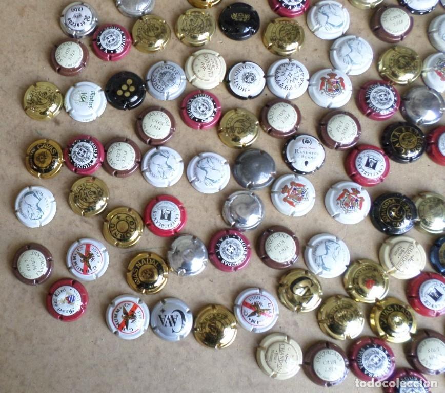 Coleccionismo de cava: +/- 170 placas de cava - Foto 4