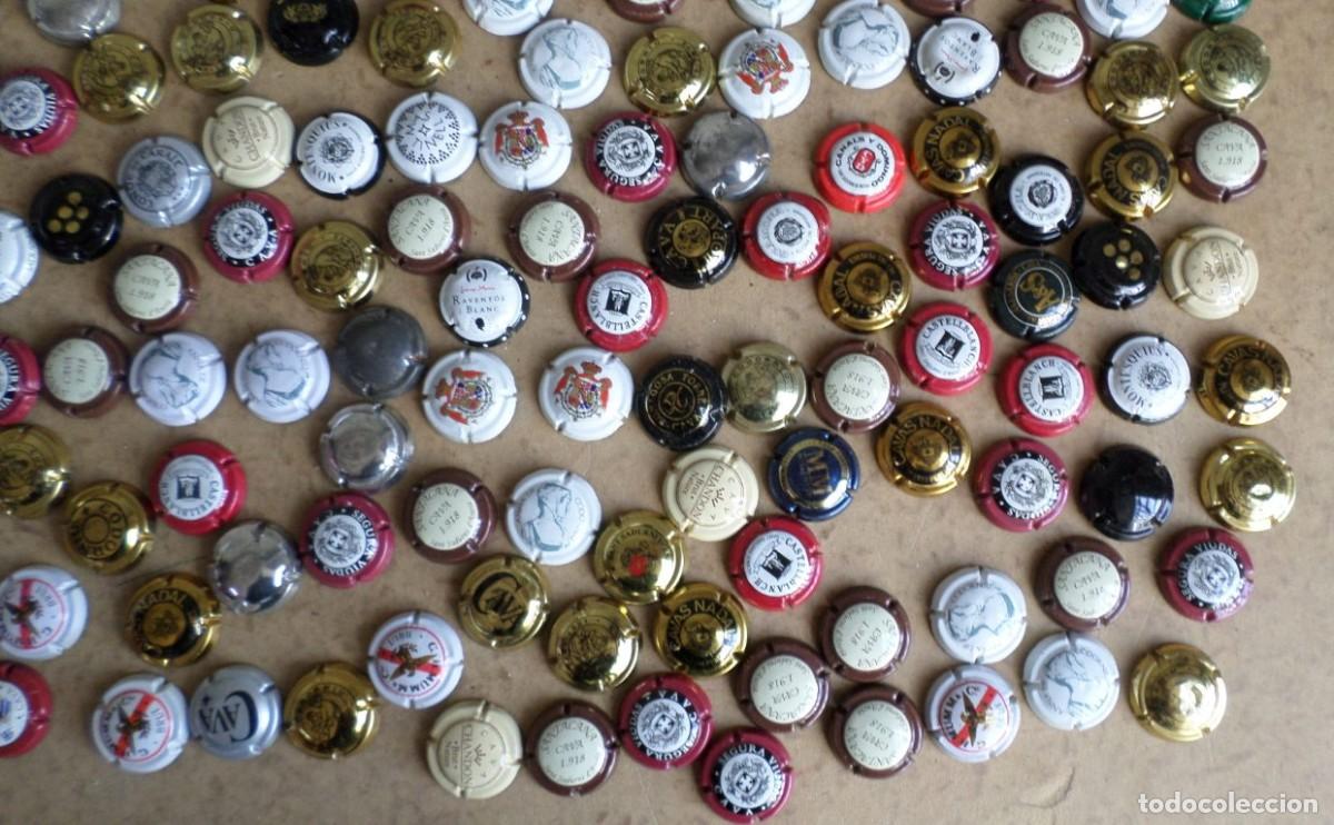 Coleccionismo de cava: +/- 170 placas de cava - Foto 5