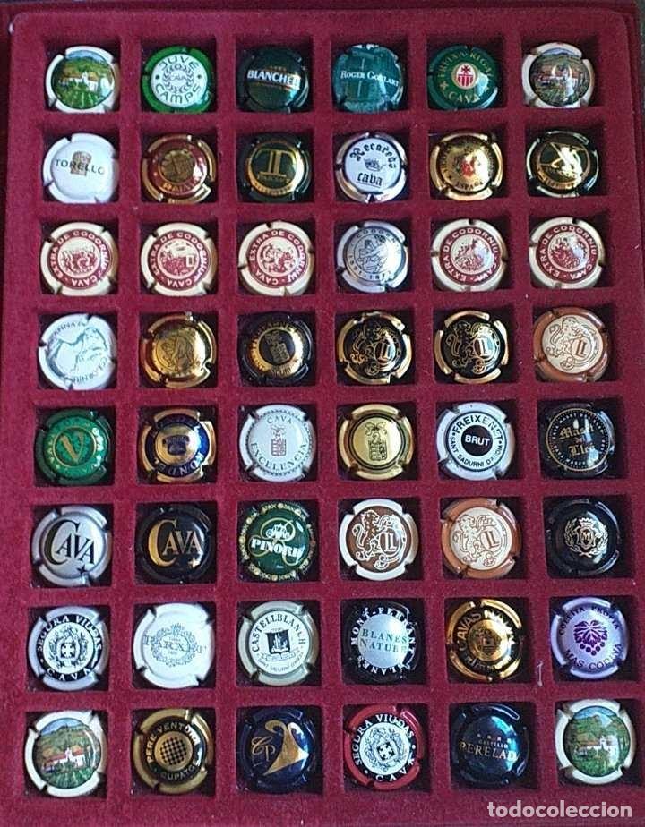 Coleccionismo de cava: LOTE DE 48 CHAPAS DE CAVA VARIADAS - Foto 1