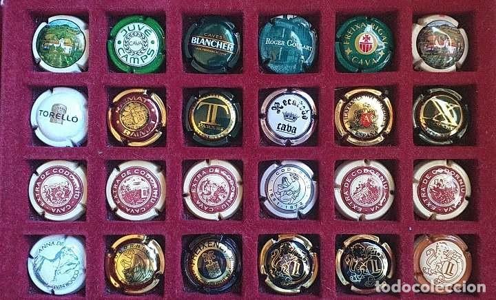 Coleccionismo de cava: LOTE DE 48 CHAPAS DE CAVA VARIADAS - Foto 2
