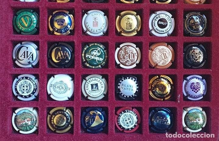 Coleccionismo de cava: LOTE DE 48 CHAPAS DE CAVA VARIADAS - Foto 3