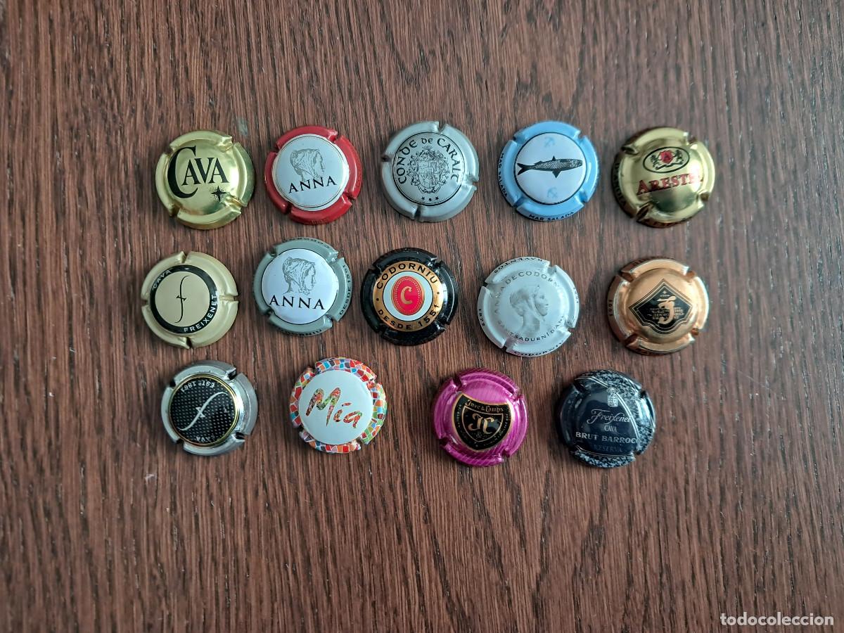 Coleccionismo de cava: lote de 14 placas de cava. - Foto 1