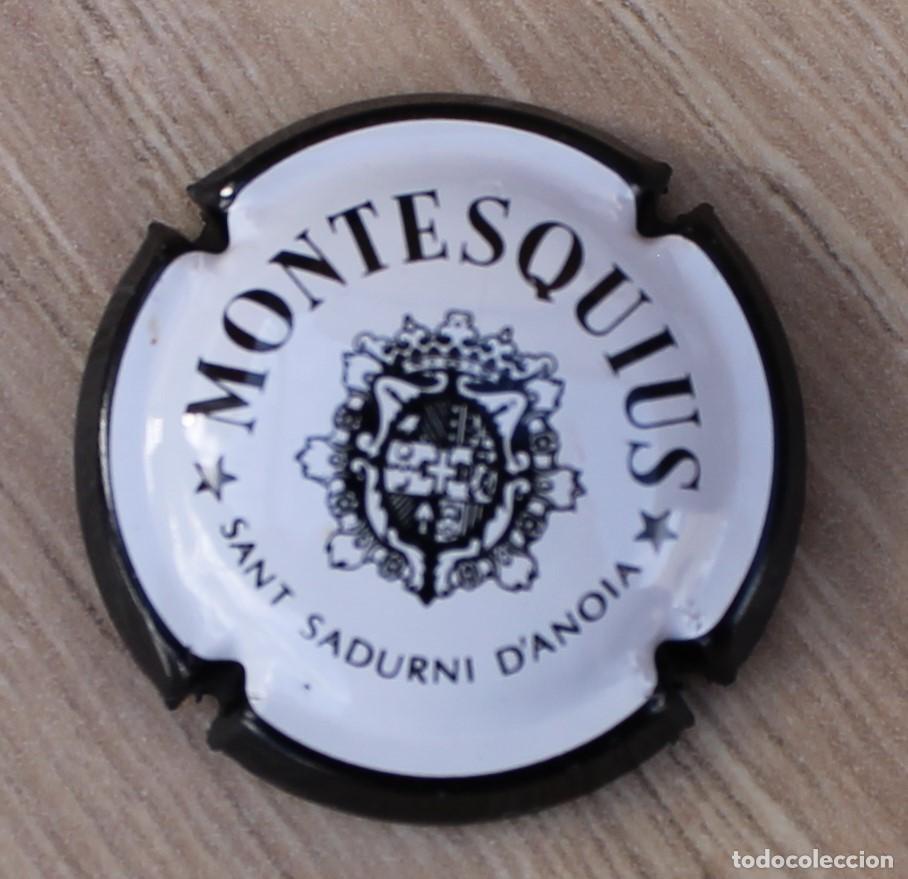 Coleccionismo de cava: PLACA CHAPA DE CAVA - MONTESQUIUS - Foto 1