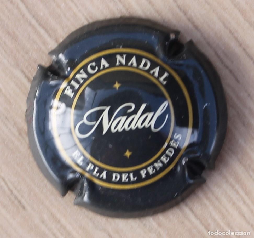 Coleccionismo de cava: PLACA CHAPA DE CAVA - NADAL - Foto 1