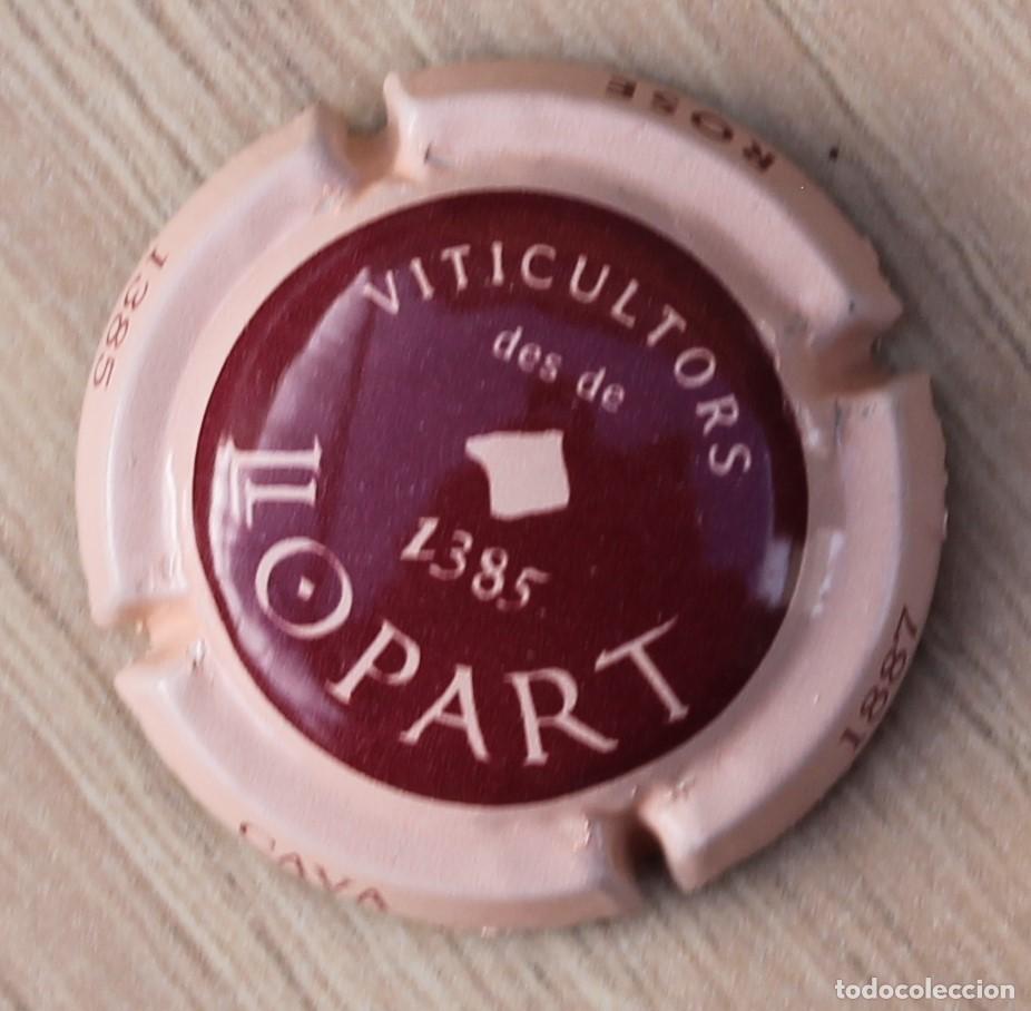 Coleccionismo de cava: PLACA CHAPA DE CAVA - LLOPART - Foto 1