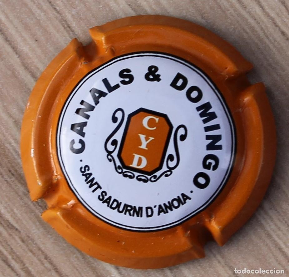 Coleccionismo de cava: PLACA CHAPA DE CAVA - CANALS & DOMINGO - Foto 1