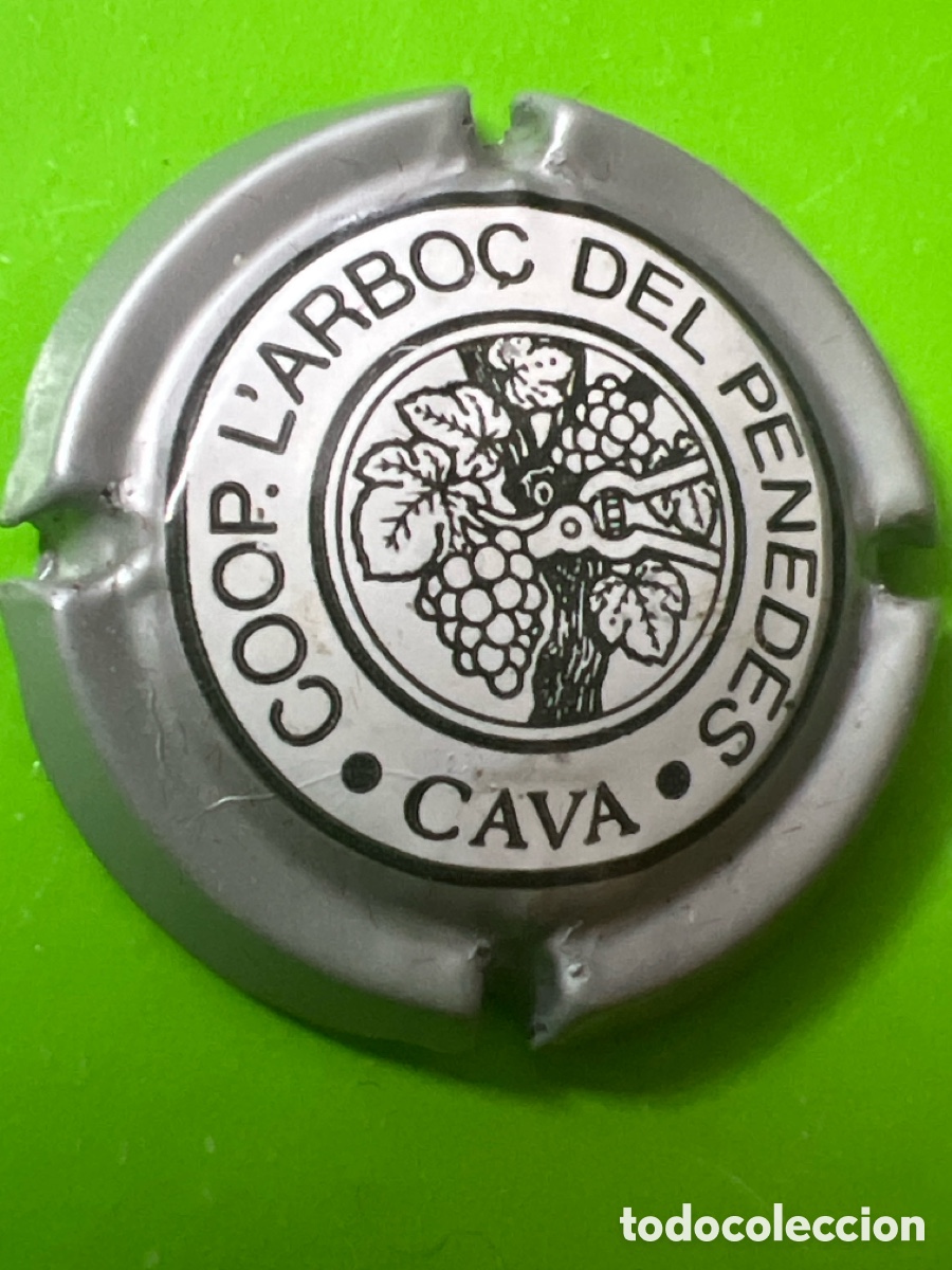 Coleccionismo de cava: M591. PLACA DE CAVA - COOP - L&rsquo; ARBO&Ccedil; - Foto 2