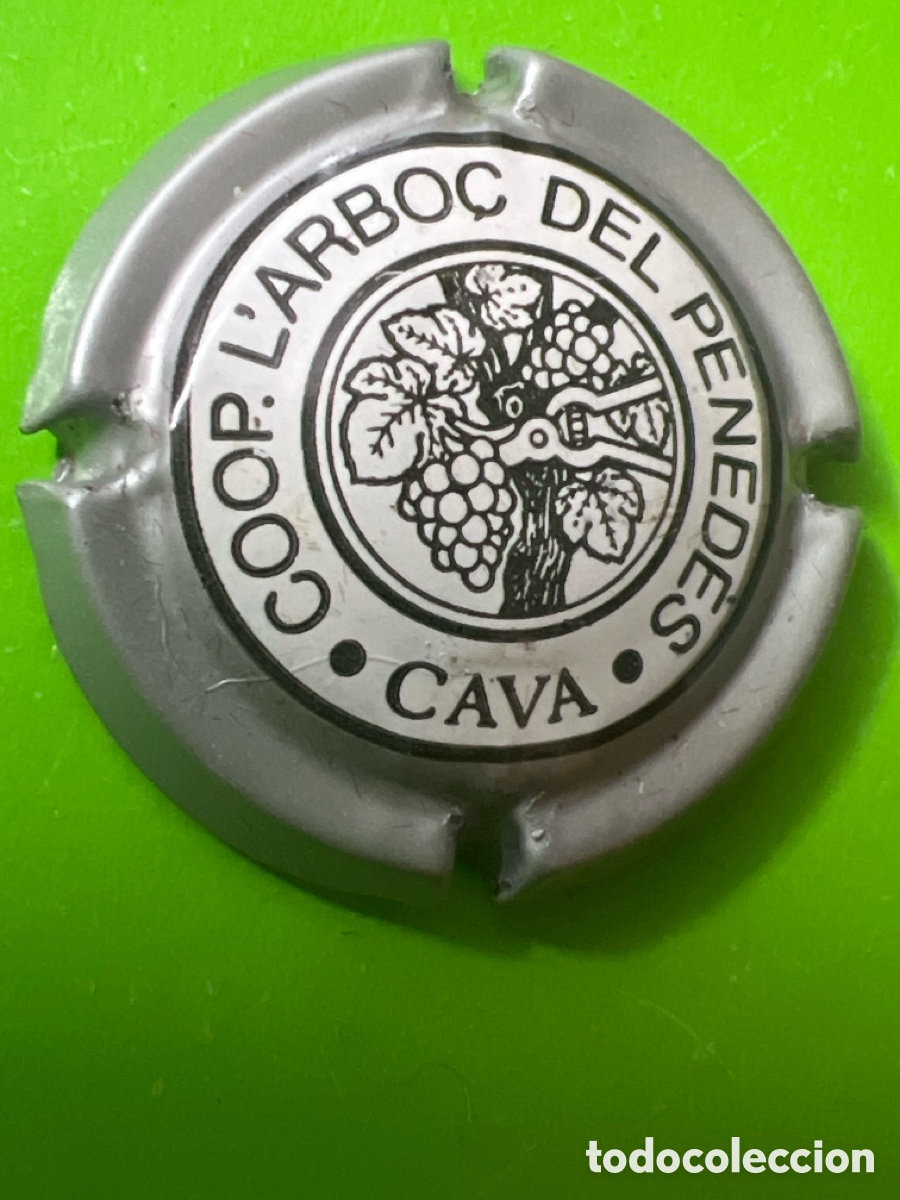 Coleccionismo de cava: M591. PLACA DE CAVA - COOP - L&rsquo; ARBO&Ccedil; - Foto 1