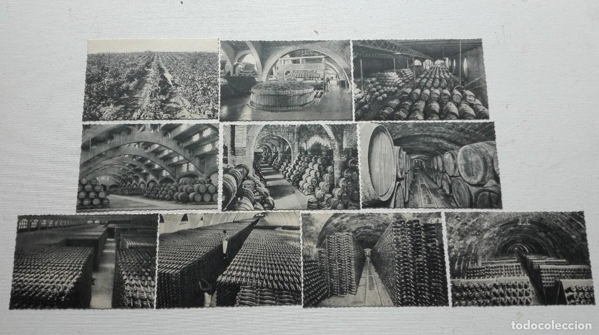Coleccionismo de cava: COLECCION DE 10 POSTALES CODORNIU - Foto 2