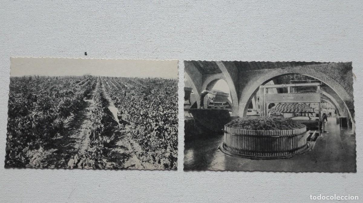 Coleccionismo de cava: COLECCION DE 10 POSTALES CODORNIU - Foto 3