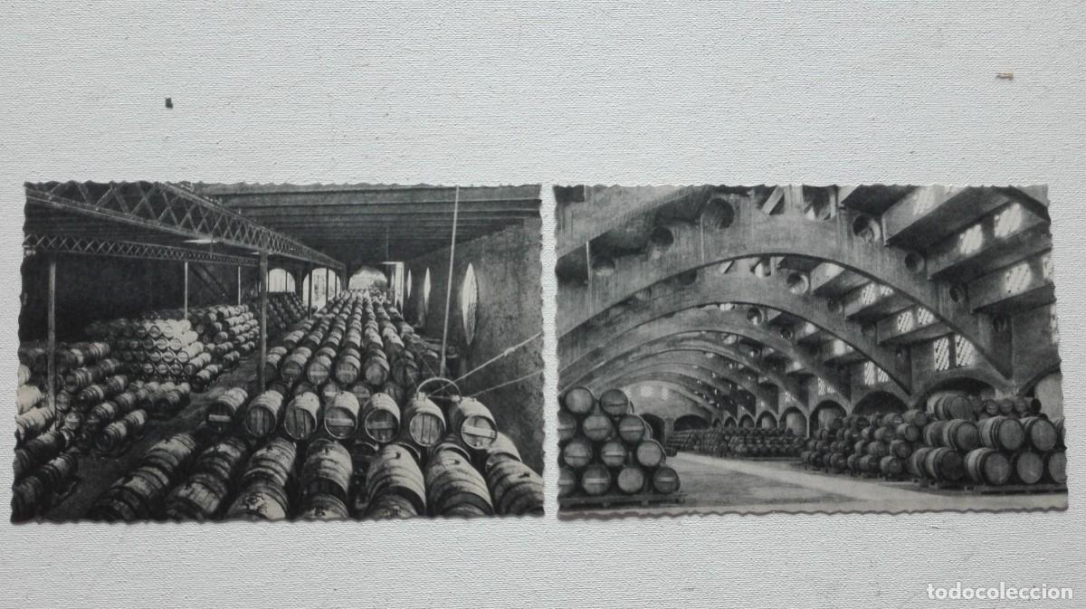 Coleccionismo de cava: COLECCION DE 10 POSTALES CODORNIU - Foto 4