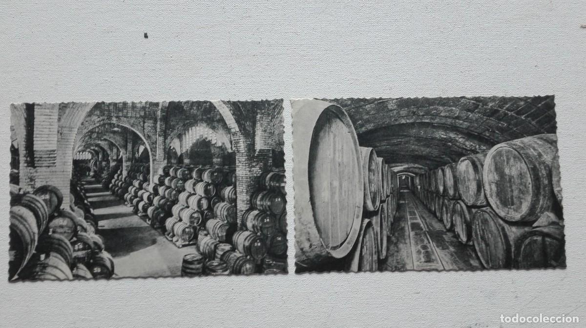 Coleccionismo de cava: COLECCION DE 10 POSTALES CODORNIU - Foto 5