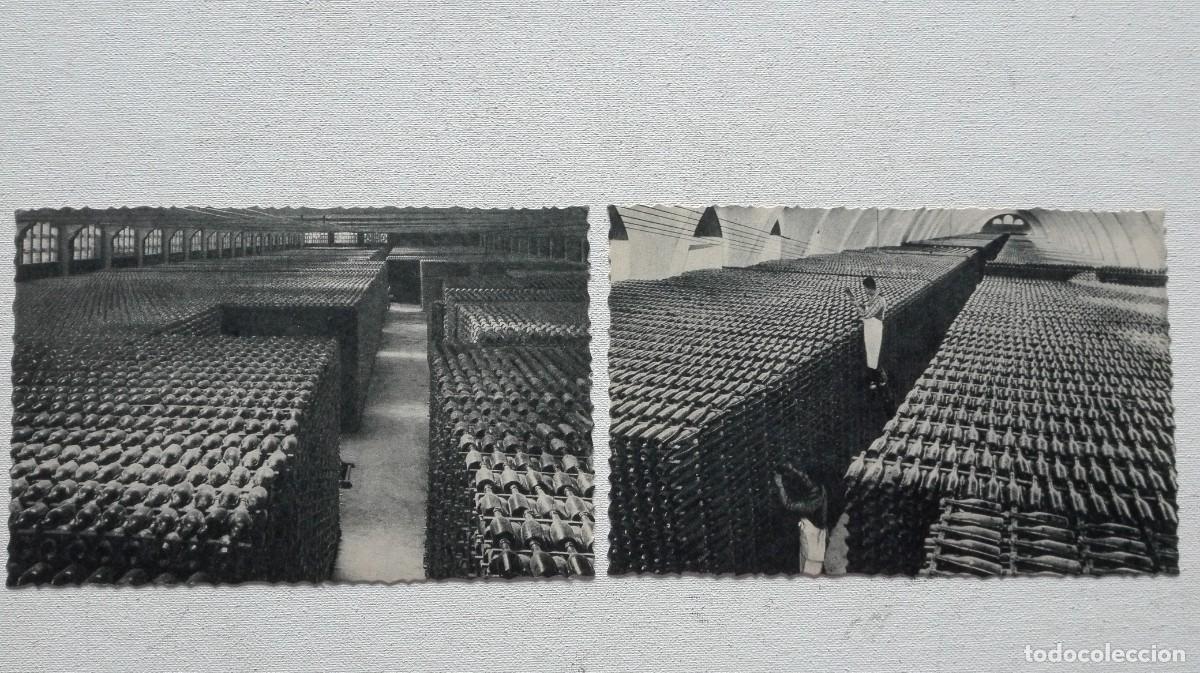 Coleccionismo de cava: COLECCION DE 10 POSTALES CODORNIU - Foto 6