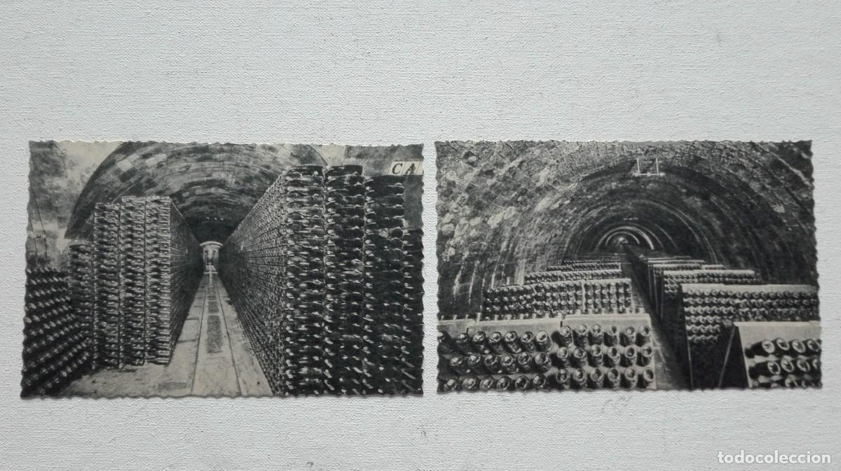 Coleccionismo de cava: COLECCION DE 10 POSTALES CODORNIU - Foto 7