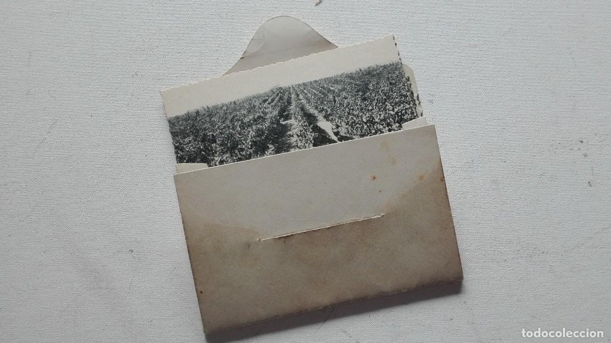Coleccionismo de cava: COLECCION DE 10 POSTALES CODORNIU - Foto 8