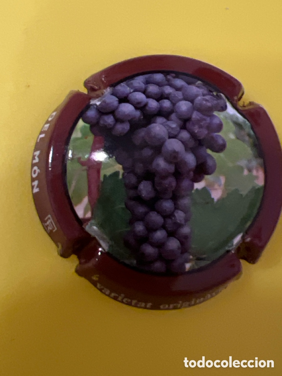 Coleccionismo de cava: T1760. PLACA DE CAVA - SUMARROCA - Foto 1