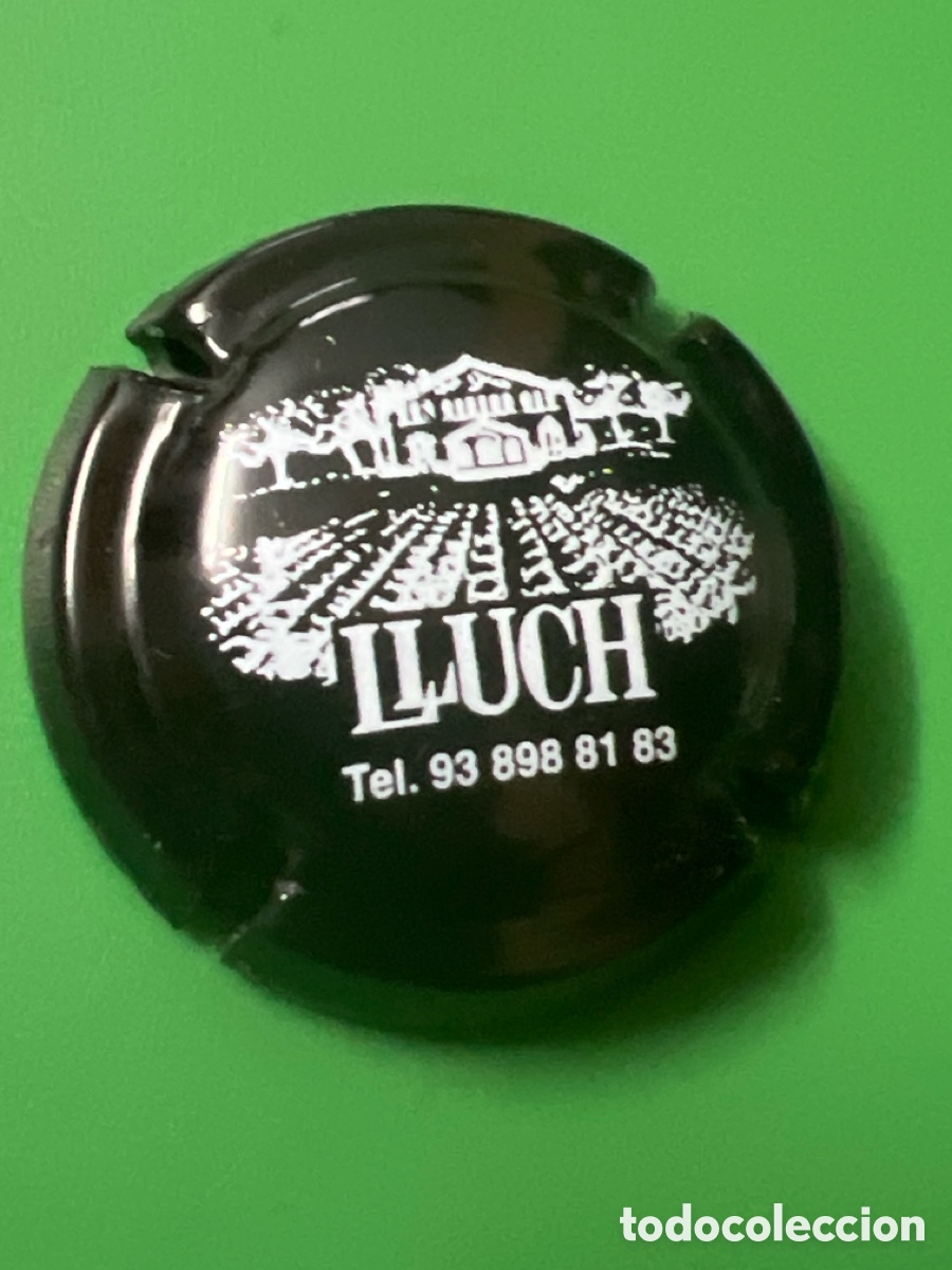Coleccionismo de cava: T275. PLACA DE CAVA - Cavas Heretat Lluch C&oacute;digo: EHRL000811 - Foto 1