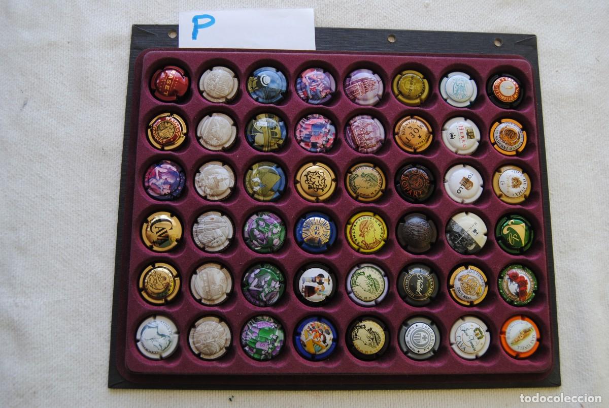 Coleccionismo de cava: P . lote 48 placas de cava espa&ntilde;olas, - Foto 1
