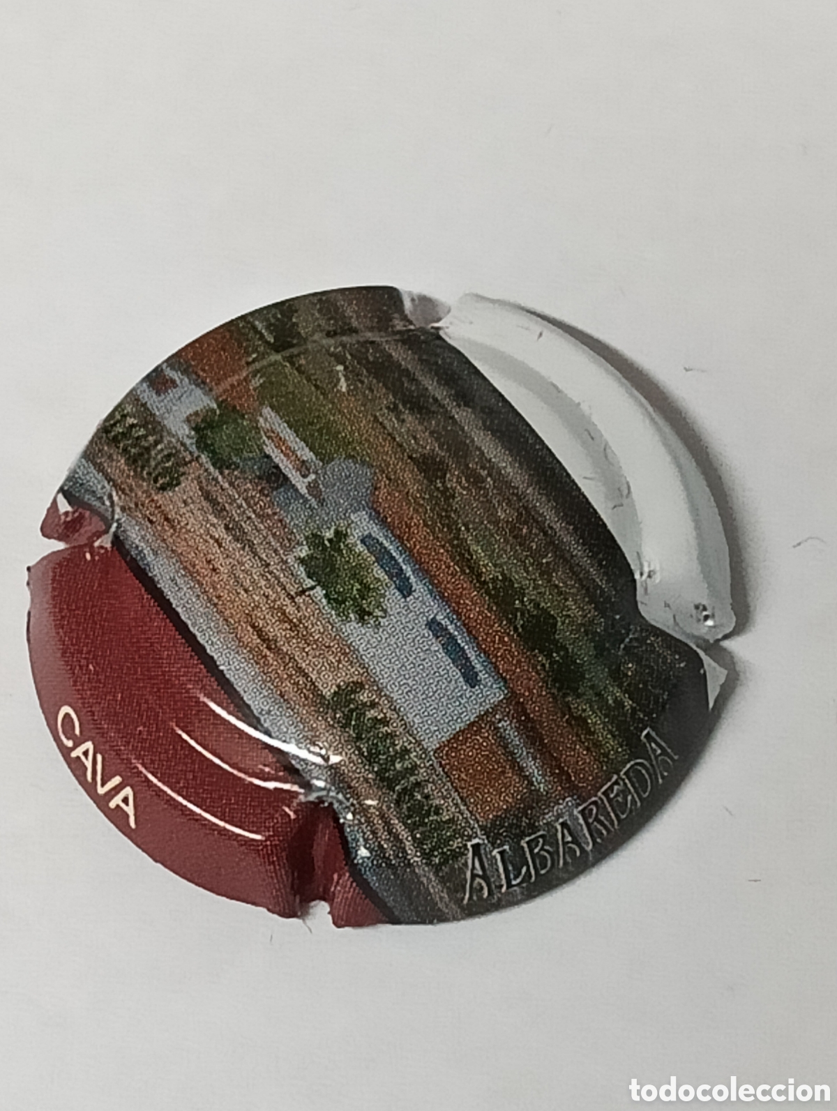 Coleccionismo de cava: Placa de Cava - Planas Albareda - Viader 11524 - Foto 2