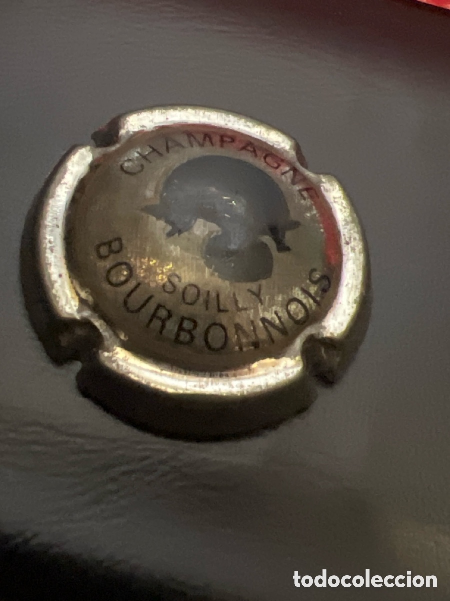 Coleccionismo de cava: T1/D2/75. PLACA DE CAVA - PLACA DE CAVA - CHAMPAGNE - Bourbonnois - Foto 2