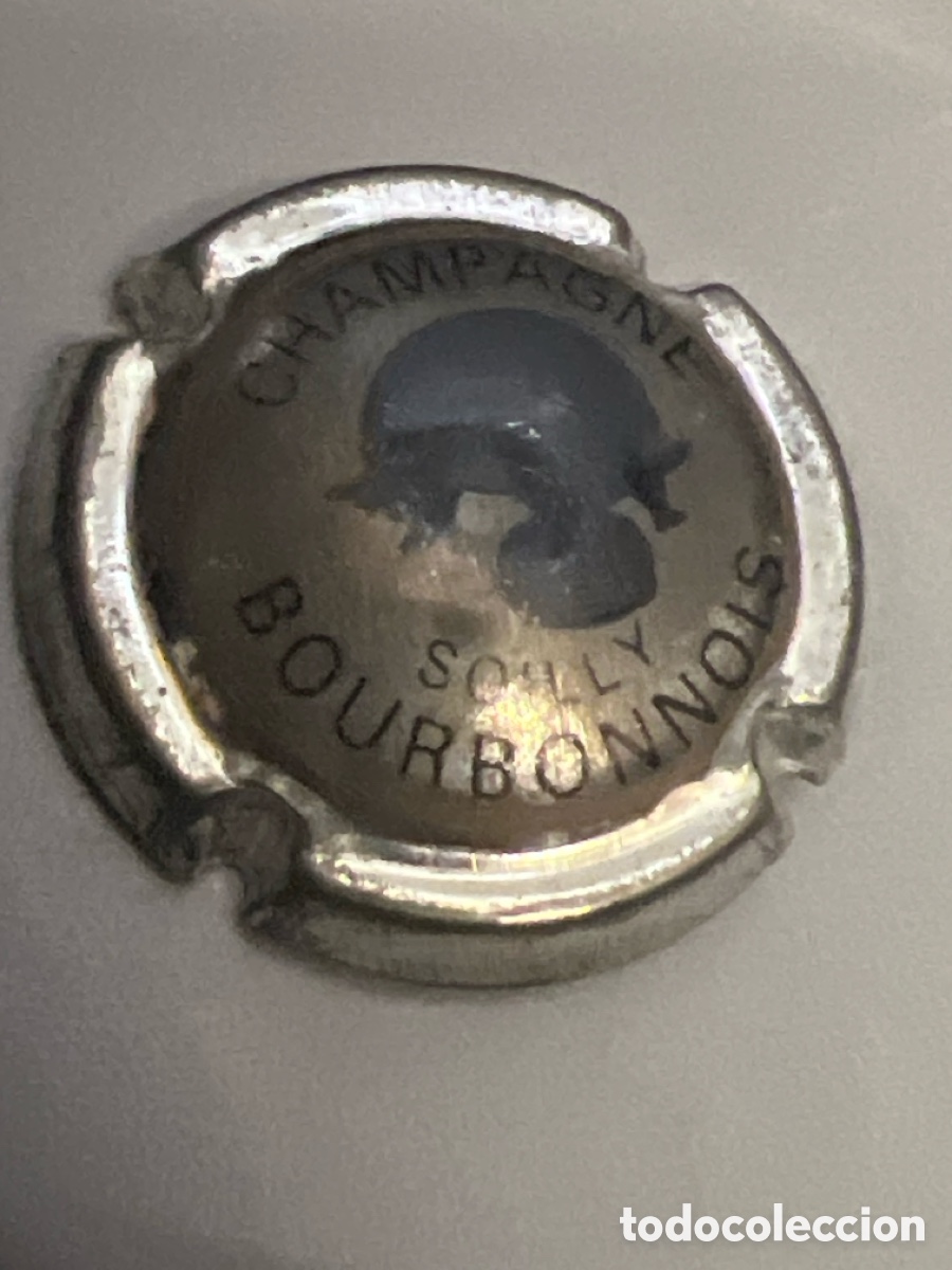 Coleccionismo de cava: T1/D2/75. PLACA DE CAVA - PLACA DE CAVA - CHAMPAGNE - Bourbonnois - Foto 1
