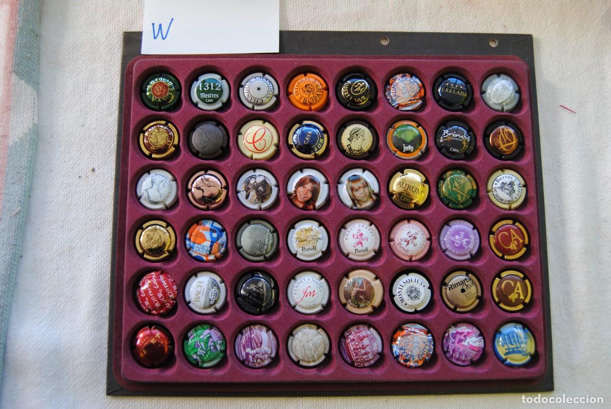 Coleccionismo de cava: Lote de 48 placas de cava.W - Foto 1