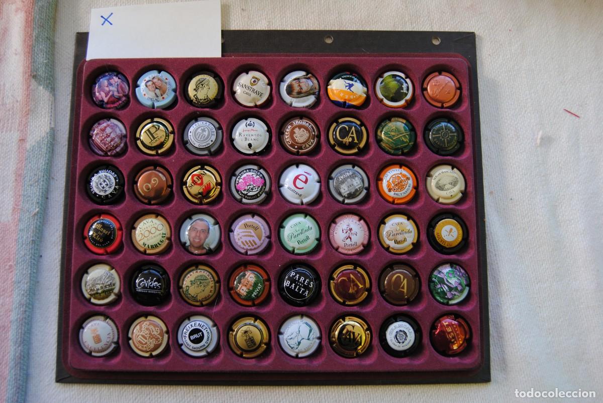 Coleccionismo de cava: Lote de 48 placas de cava.X - Foto 1