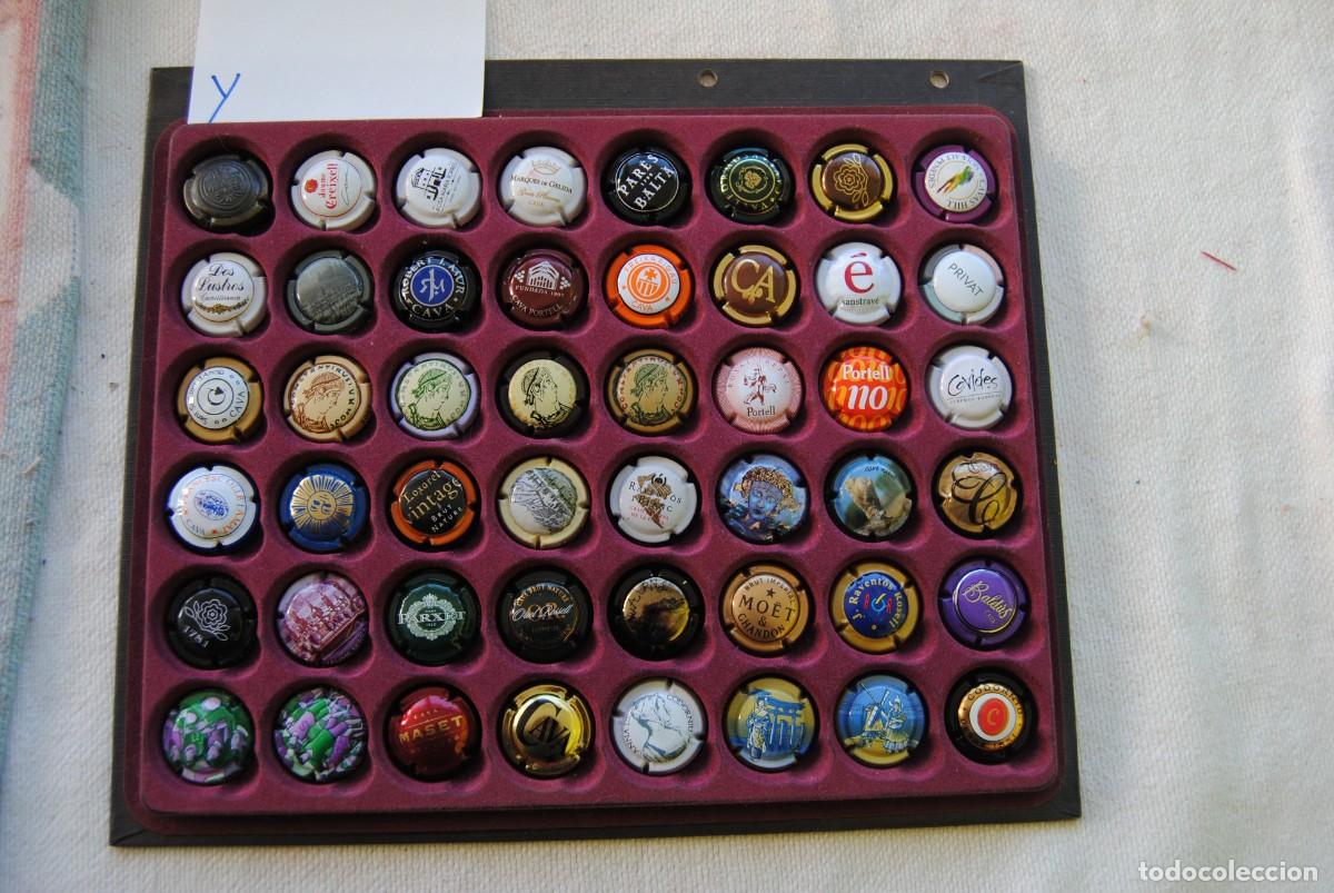 Coleccionismo de cava: Lote de 48 placas de cava.Y - Foto 1