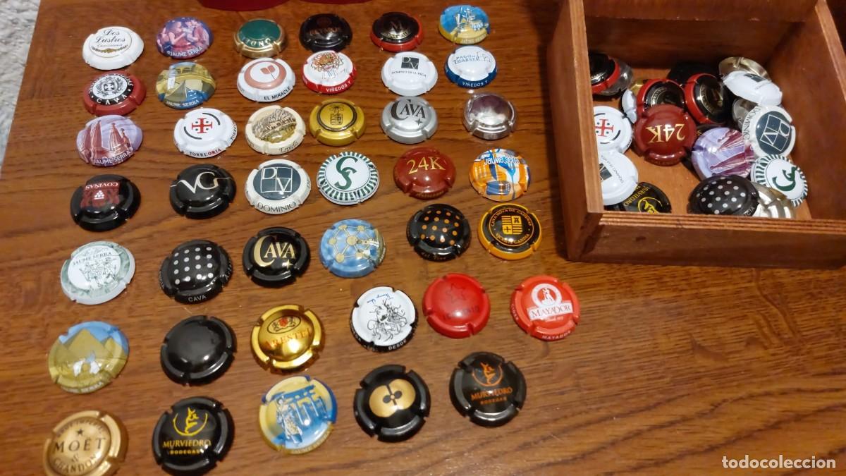 Coleccionismo de cava: COLECCI&Oacute;N CHAPAS TAP&Oacute;N CAVA - Foto 1