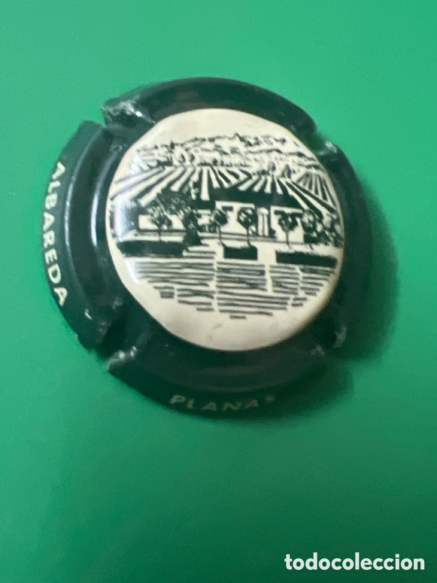 Coleccionismo de cava: Z710. PLACA DE CAVA - Cavas Planas Albareda C&oacute;digo: EPLA001267 - Foto 1