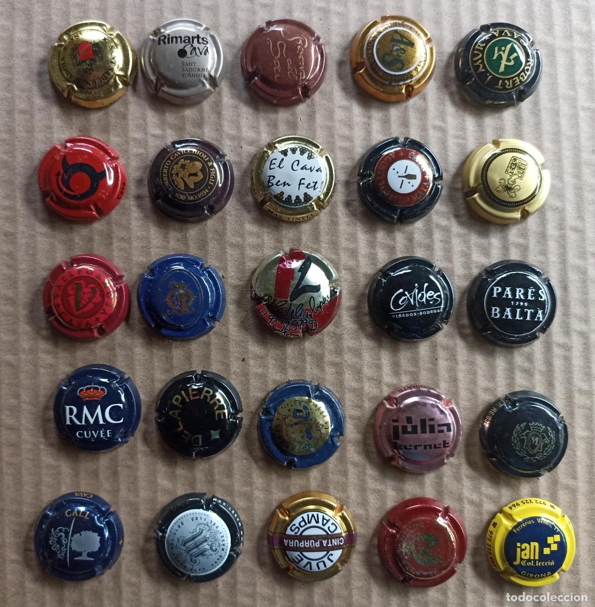 Coleccionismo de cava: Lote 25 placas de cava variadas - Foto 1