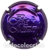 Coleccionismo de cava: PLACA CHAPA CAVA - Puig Munts ++P - Foto 1