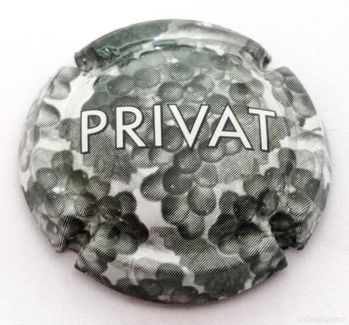 Coleccionismo de cava: PLACA CHAPA CAVA PRIVAT - Foto 1