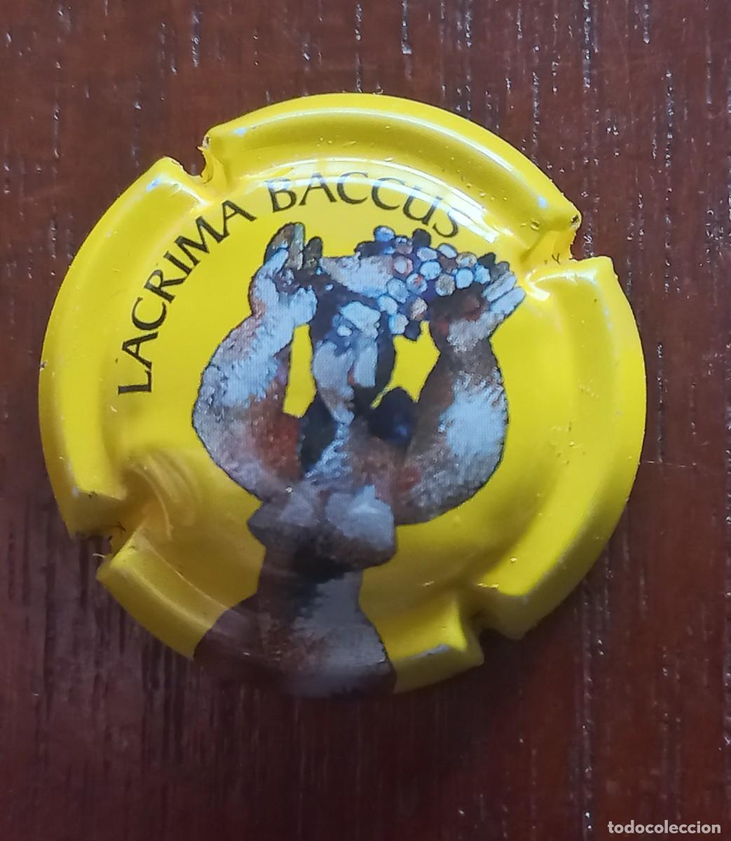Coleccionismo de cava: Placa de cava LACRIMA BACCUS - Foto 1