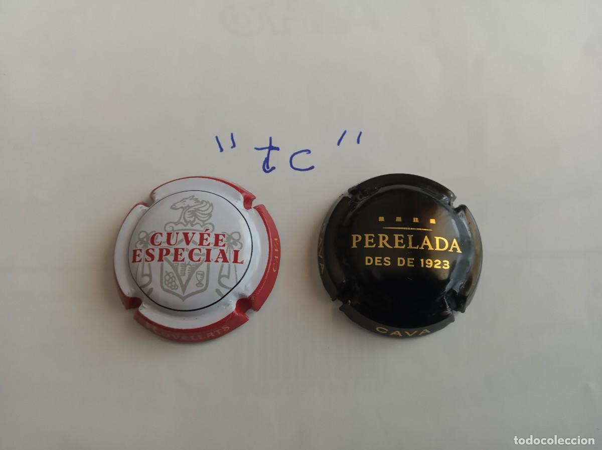 Coleccionismo de cava: 2 placas de cava diferentes - Foto 1
