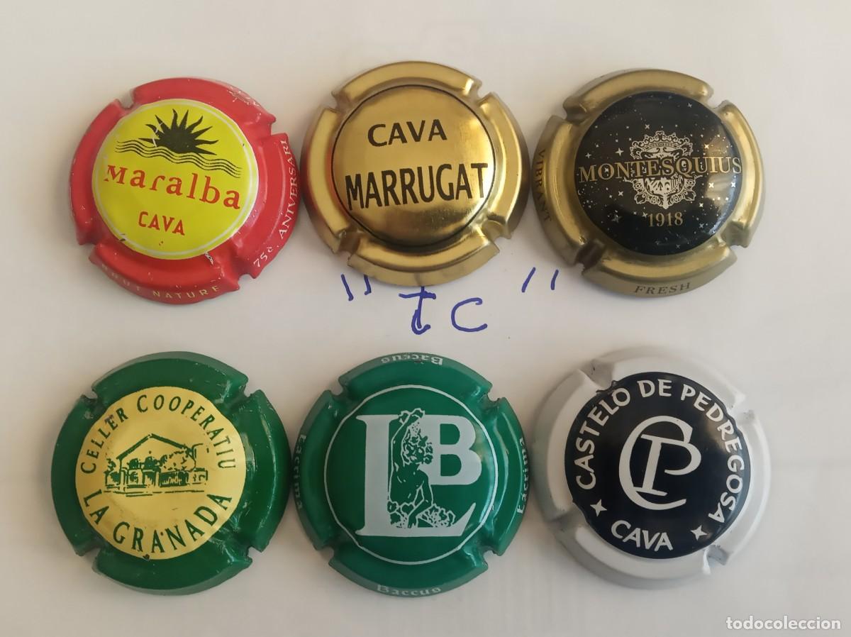Coleccionismo de cava: 6 placas de cava oferta!! - Foto 1