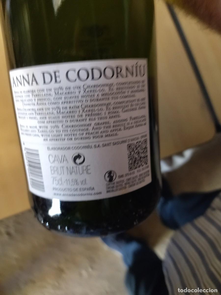 Coleccionismo de cava: Lote de champan y cava ahora de 30 a 20 - Foto 4