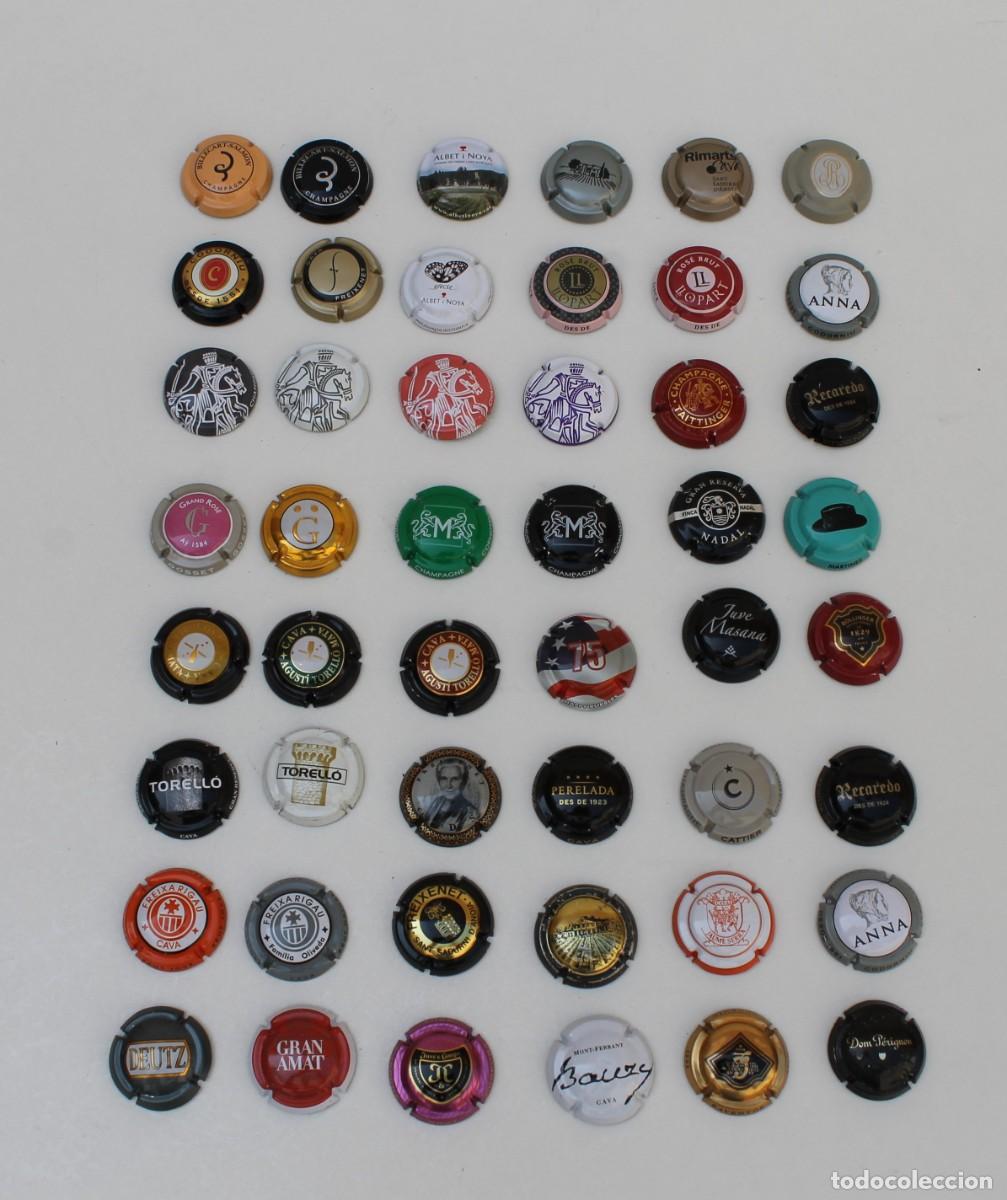 Coleccionismo de cava: LOTE DE 48 PLACAS CHAPAS DE CAVA - Foto 1