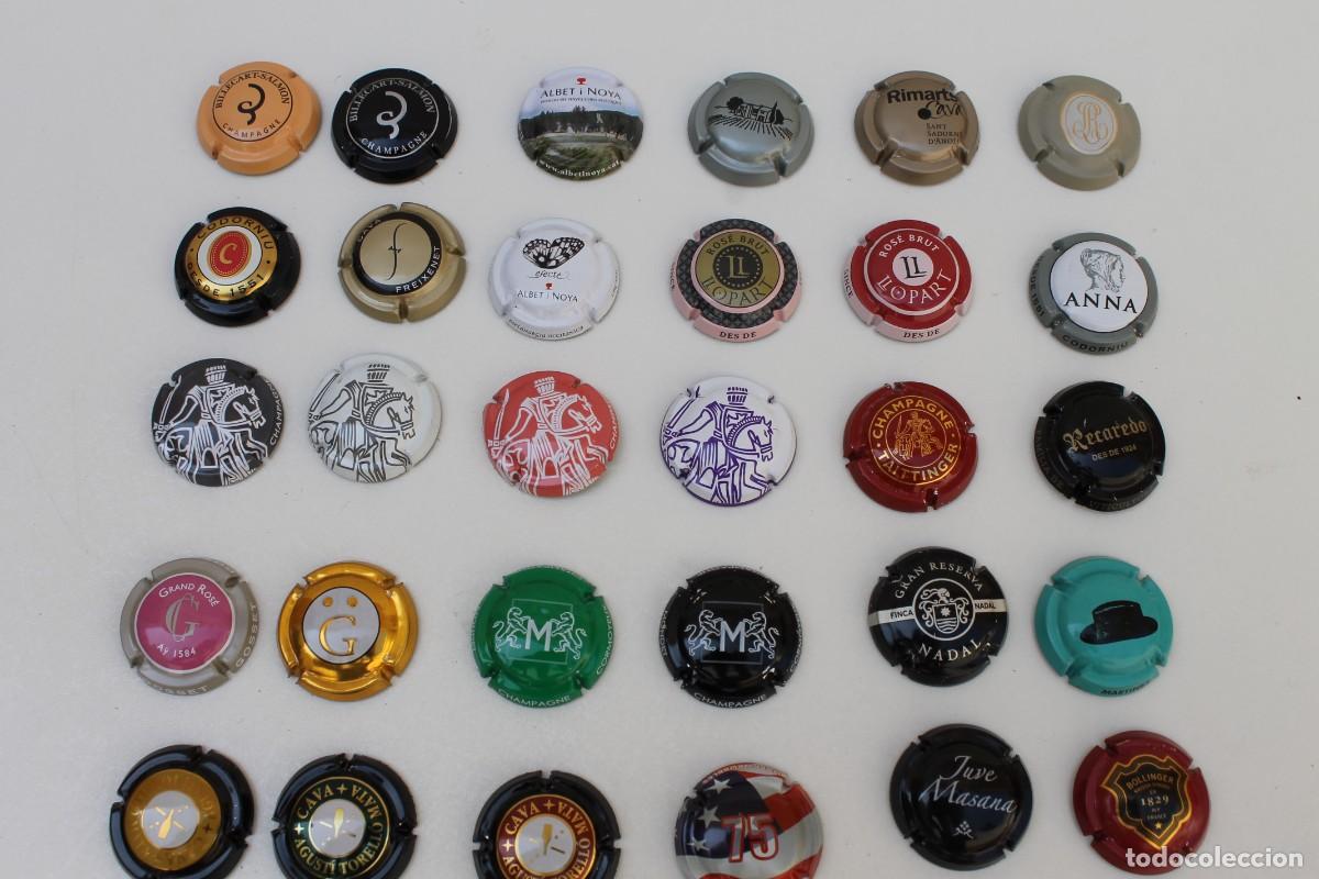 Coleccionismo de cava: LOTE DE 48 PLACAS CHAPAS DE CAVA - Foto 3