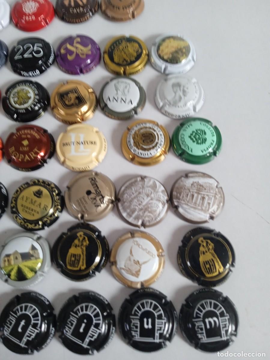 Coleccionismo de cava: CHAPAS DE CAVA 47 Diferentes - Foto 3