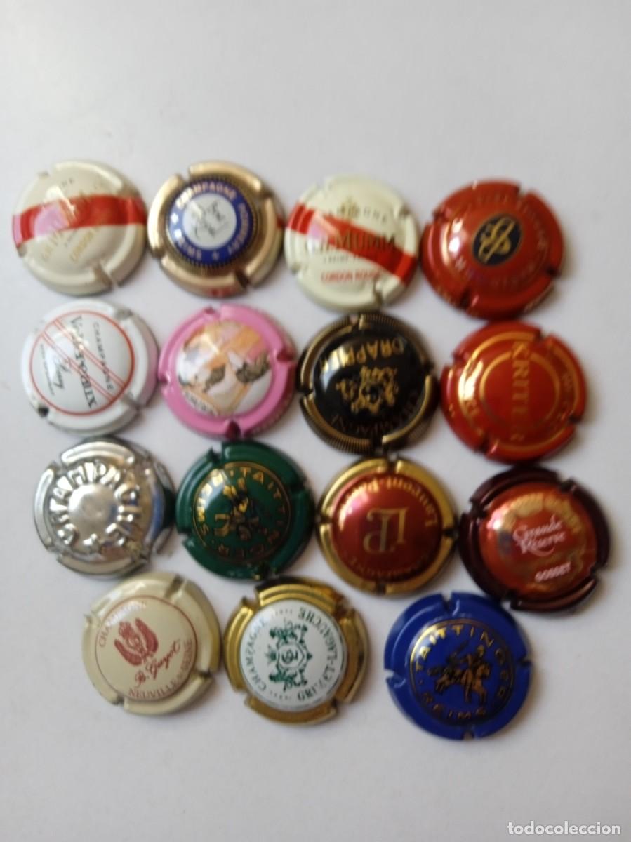 Coleccionismo de cava: CHAPAS DE CHANPGNE 15 Diferentes - Foto 1