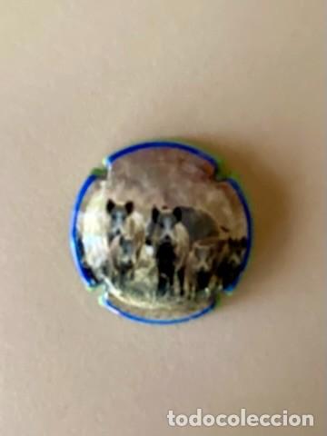 Coleccionismo de cava: 1 PLACA CHAPA DE CAVA XIC D ALFONS - Foto 1