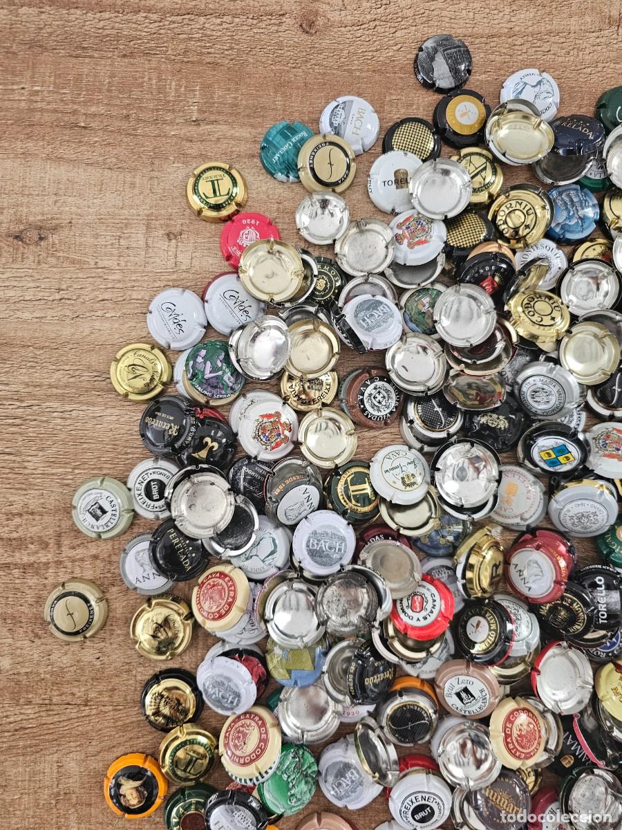 Coleccionismo de cava: PLACA CHAPA CAVA CHAMPAGNE - Gran Lote - Foto 3