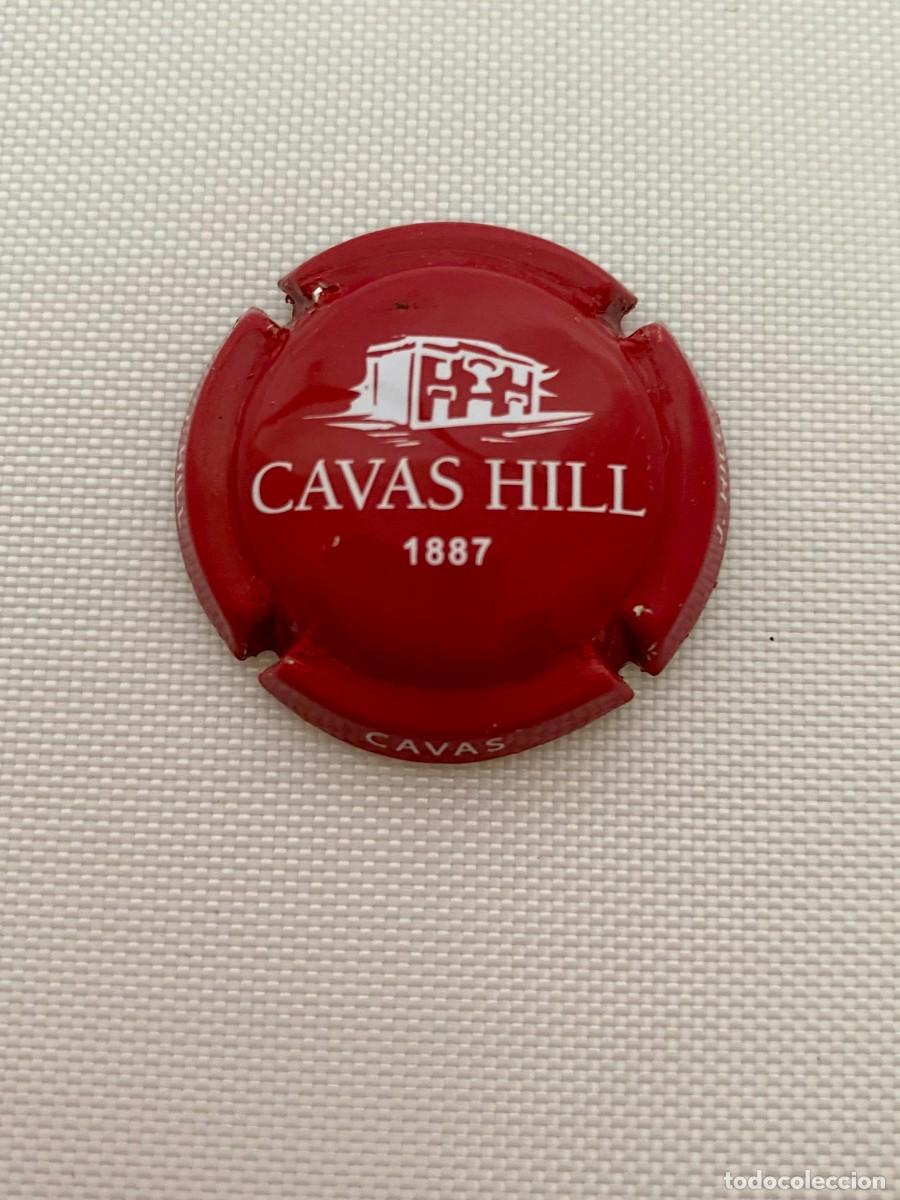 Coleccionismo de cava: 1 PLACA CHAPA CAVA CAVAS HILL - Foto 1