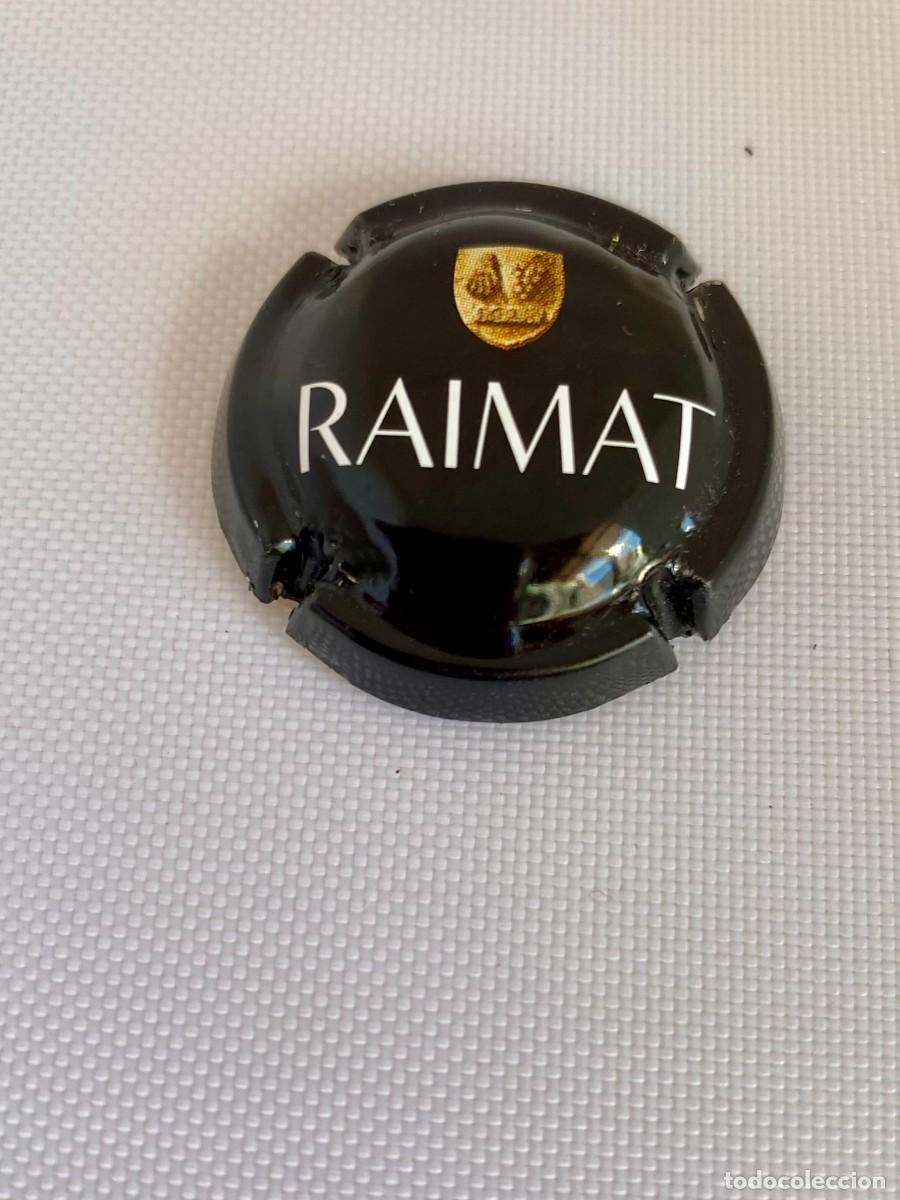 Coleccionismo de cava: 1 PLACA CHAPA CAVA RAIMAT - Foto 1