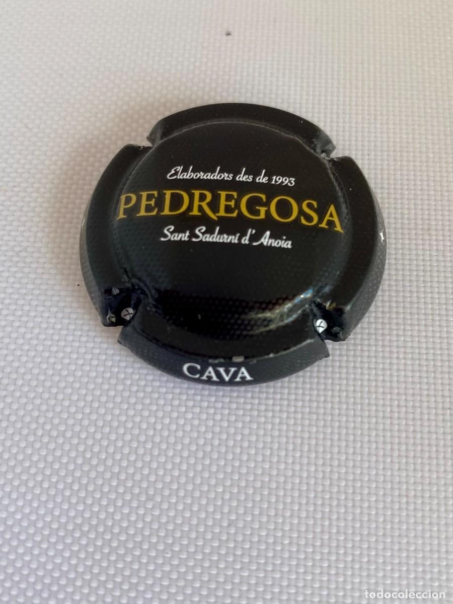 Coleccionismo de cava: 1 PLACA CHAPA CAVA PEDREGOSA - Foto 1