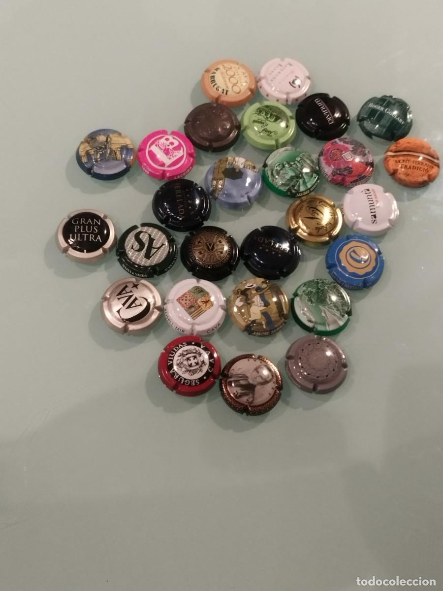 Coleccionismo de cava: Lote de 27 chapas de cava. - Foto 1