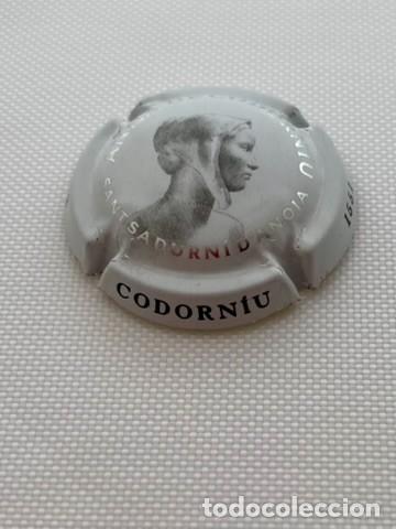 Coleccionismo de cava: PLACA CHAPA DE CAVA ANNA DE CODORNIU - Foto 1